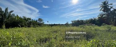 Prime Pasir Panjang Agri Land 4 Sale: Rare Investment, Huge Potential 1