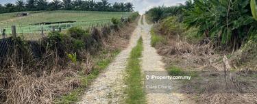 Kulai 4.12acres Agricultural Land for Sale  1