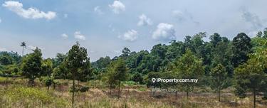 Little Durian Orchard in Raub 1