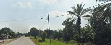 Agriculture Land@Jalan Dengkil-Banting, Dengkil, Sepang For Sale 1