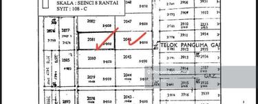 Agricultural Land for Sale, Teluk Panglima Garang  1