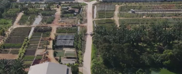 Potential Development Land for Industry @ Bakri, Muar, Johor  1