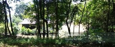 Limited lot, facing main road, good access 1