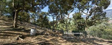 4 Acres Freehold Old Trees Durian Farm Cheroh Raub 1