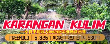 Karangan Agriculture Land Received Road Coconut Lime & Yuzu 1