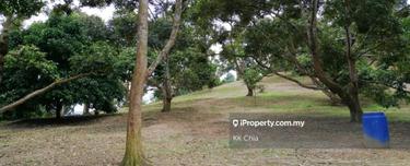 Agriculture land for Sale 1