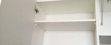 Serviced residence for Rent 1