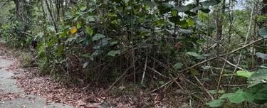 Bukit Beruntung Rawang  Freehold Bungalow Land Rm317,100 For Sale 1