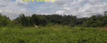 Industrial land for Sale 1