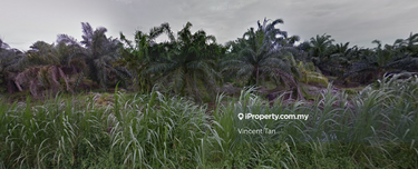 Pontian Land 1