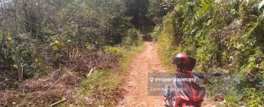 Tanah Pertanian Untuk Dijual Rasa Hulu Selangor  1