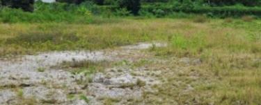 Industrial Land For Sale In Glenmarie 1