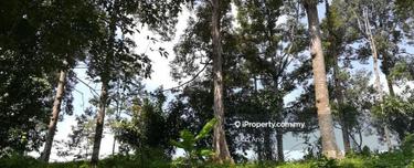 Mix Development land currently with Durian Orchard near Proto City 1
