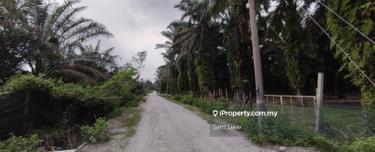 Freebold Palm oil Land For Sale  1