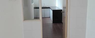 Platinum Hill Pv2 Setapak for Sale 1