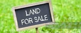 Industrial land for Sale 1