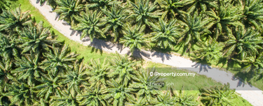 Agricultural land for sale in Sabai, Bentong  1