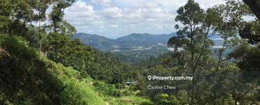 Value Buy Durian Fruit Orchard Land near famous township Balik Pulau 1