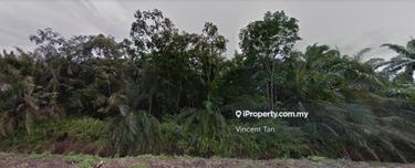 Agriculture land for Sale 1