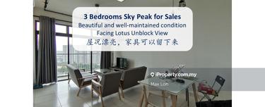 Beautiful and well maintained condition in Sky Peak Residences 1