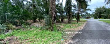 Sijangkang Flat Agri Land 5acs Freehold!! Klang Banting  1