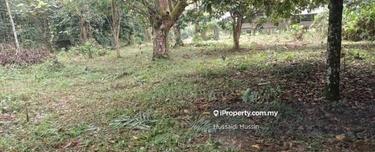 Tanah Pertanian 7 ekar Untuk Dijual Di Lubok Kelubi, Mukim Hulu Langat 1