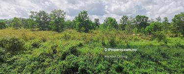 Pekan Nenas Agricultural land For Sale Rm8 psf 1