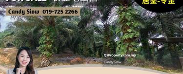 Kluang Simpang Renggam 66ac Agriculture Land 1