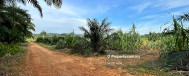 Tanah Sawit 6.3 Ekar Tanah Merah Jalan Pagoh , Mukim Ayer Hitam Johor 1
