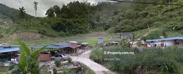 Cameron Highland Land 1