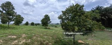 1 Acre Freehold Durian Farm Good View Bestari Jaya Kuala Selangor 1