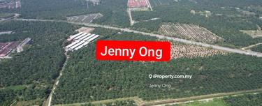 Facing Main Road Arigculture Land At Kampung Pisang, Kupang  For Sale  1