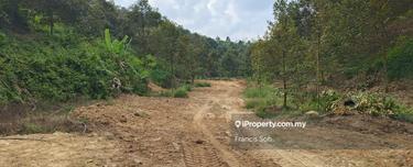 Agriculture land for sale 1