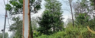 Prime location, land slightly higher than road level, near town center 1