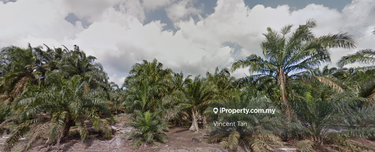 Land For Sale @ Pontian Johor 1