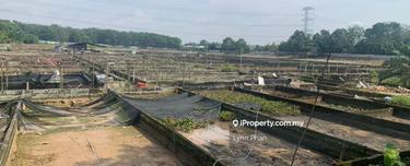 Ulu Tiram agriculture land for sale  1