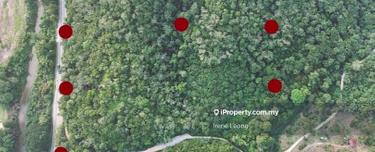 12 acres Bentong Development Land For Sale 1