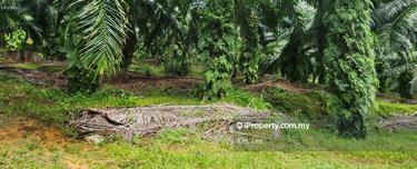 Next to Kota Seri Mas Golf Course,super nice view and good development 1