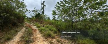 9.8 Acres Hilly Freehold Agriculture Land Ulu Lepar Gali Raub 1