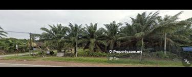 Sungai Kelat facing main road oil palm land 1