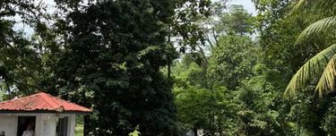 Le Chateau 2 @ Seputeh Renovated Quiet Freehold, Low-Dense Condo  1