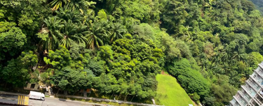High Floor. Forest & Pool View 1
