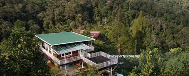 Bungalow With 110 Branded Durian Trees 1