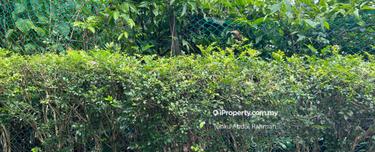 Beuatiful Land in Ukay Heights  1