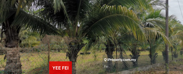 Sungai Petani Farm Land for Sell 1