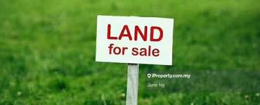 Agriculture land for Sale 1