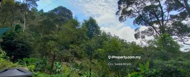 Durian Orchard for Sale in Teluk Kumbar Penang 1