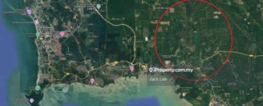 Pd Pasir Panjang 130 Acres Agriculture Land for Sale 1