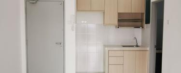 Partly Furnished  The Zizz for Sale 1