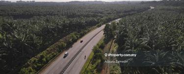 Freehold 783 Acres Agricultural Land at Port Dickson, Negeri Sembilan 1